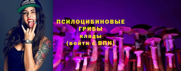 гашик Рославль