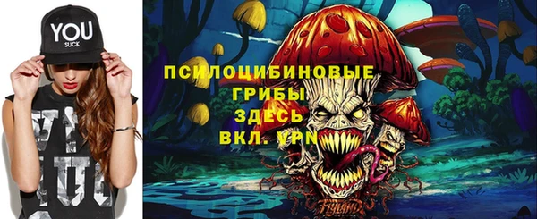 гашик Рославль