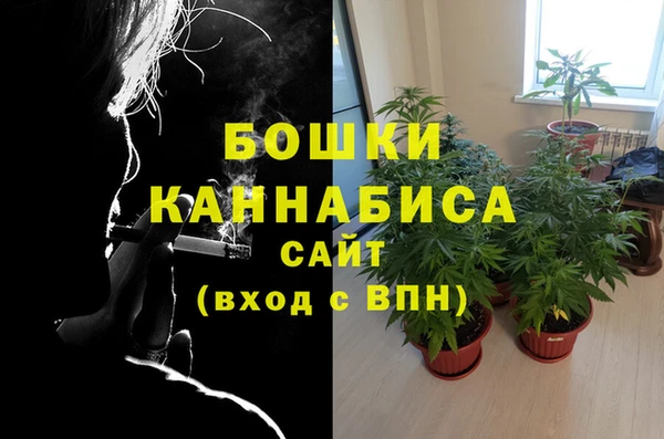 гашик Рославль