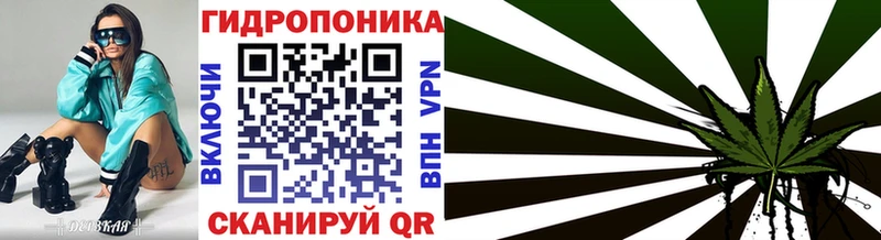 Марихуана гибрид  Сольцы 